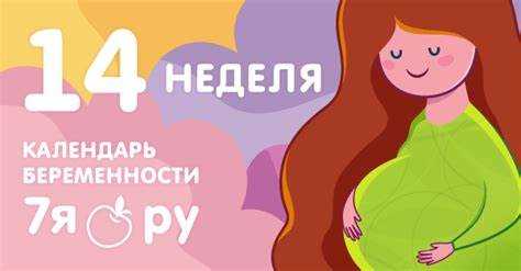 15 недель: изменения в организме мамы
