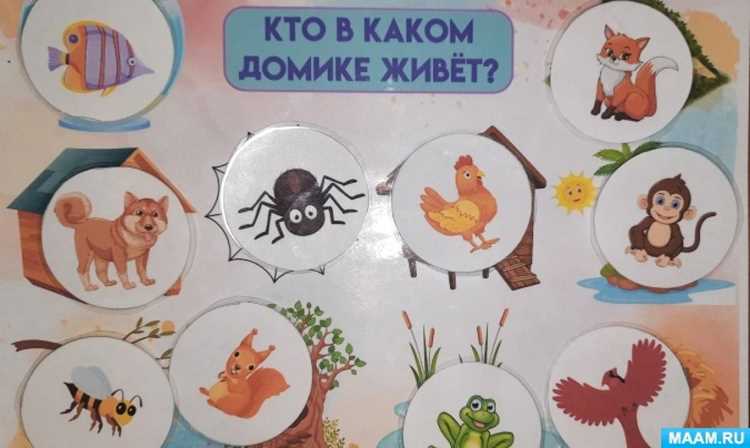 Практические советы по организации активных мероприятий на свежем воздухе