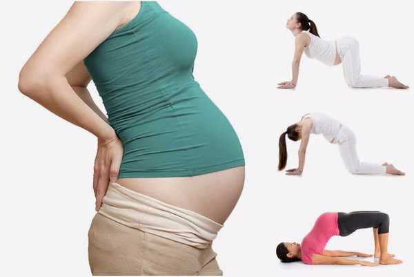 Заболевания, способствующие болезненности копчика