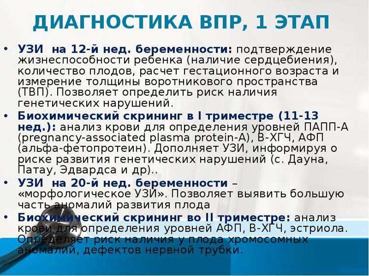 Третий триместр